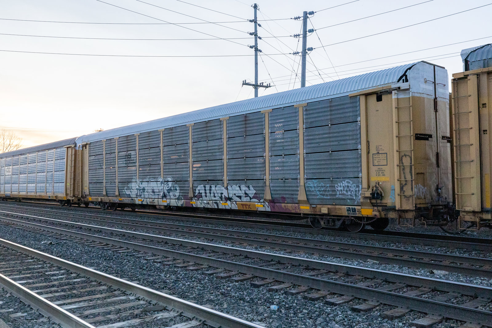 TTGX 156931