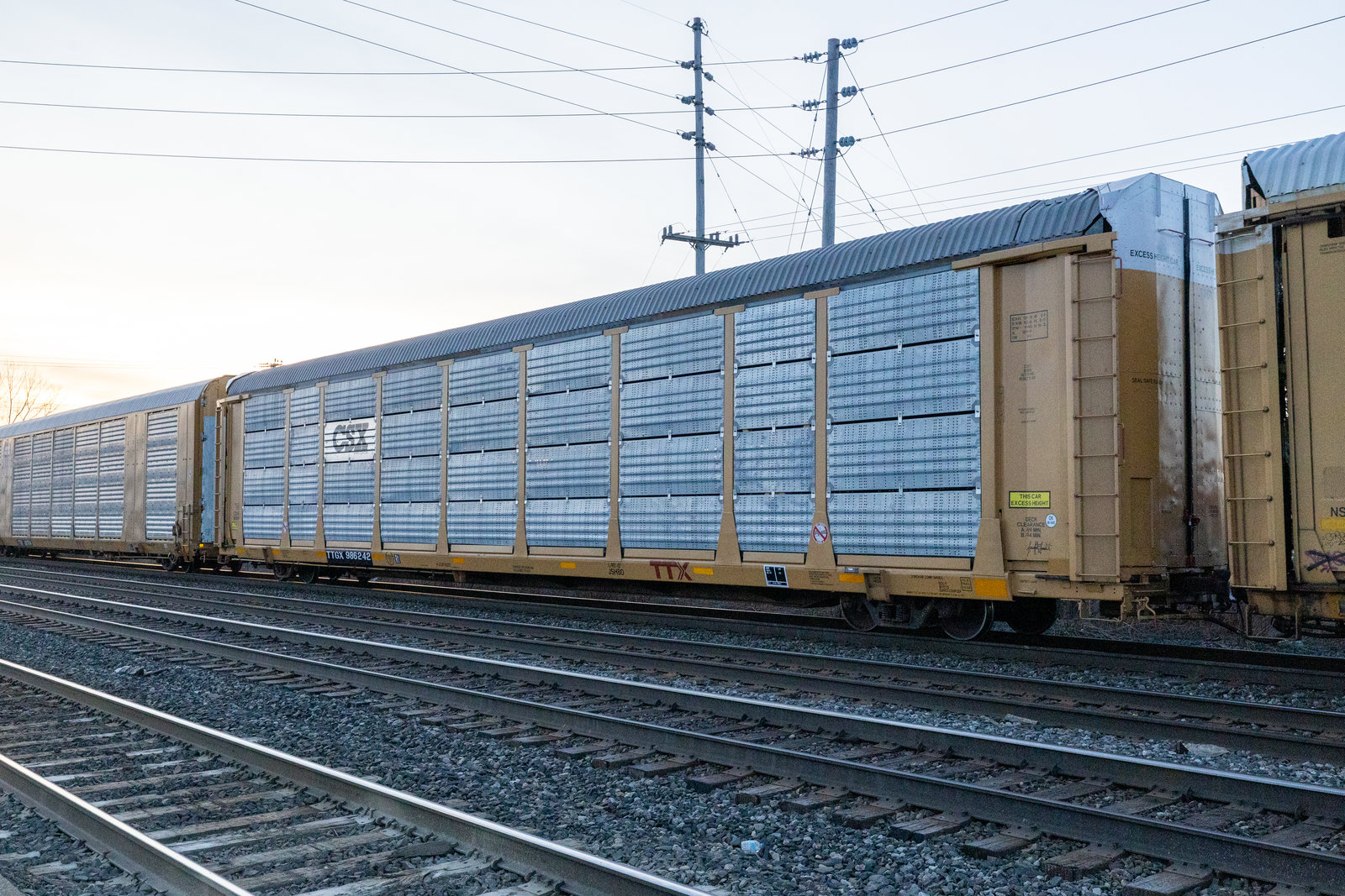 TTGX 986242