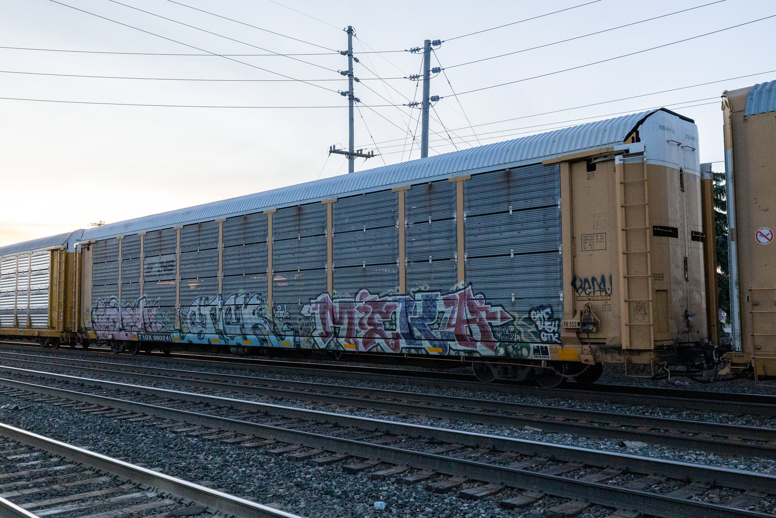 TTGX 980241