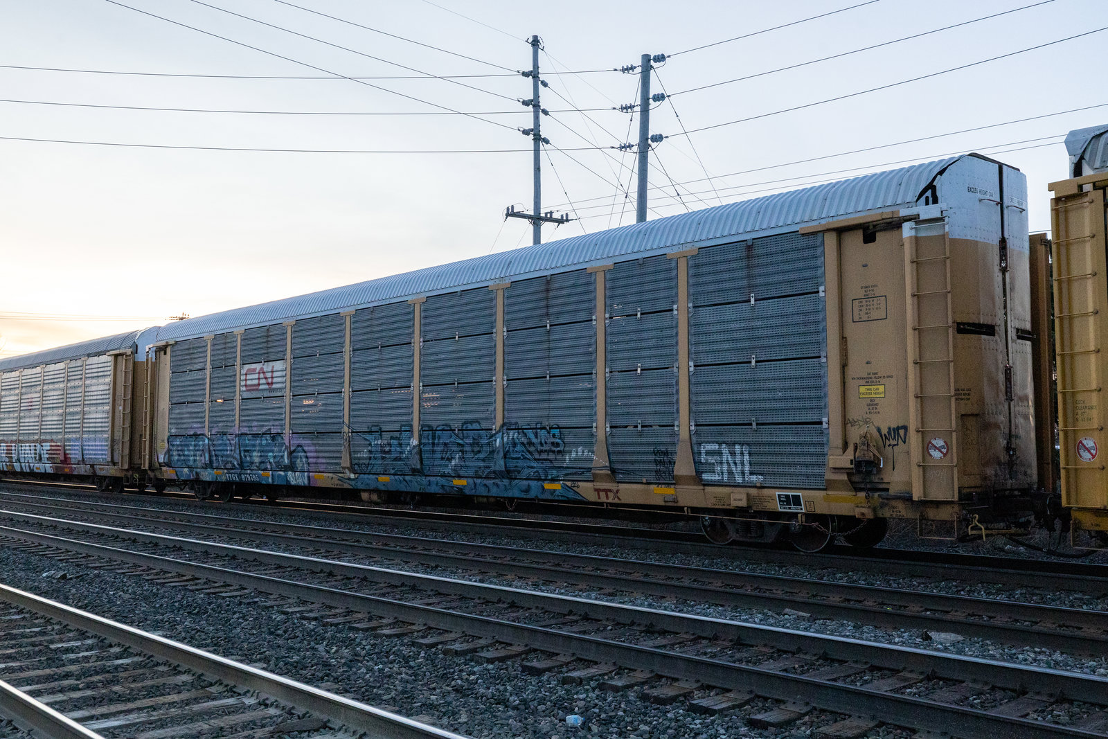 TTGX 979795