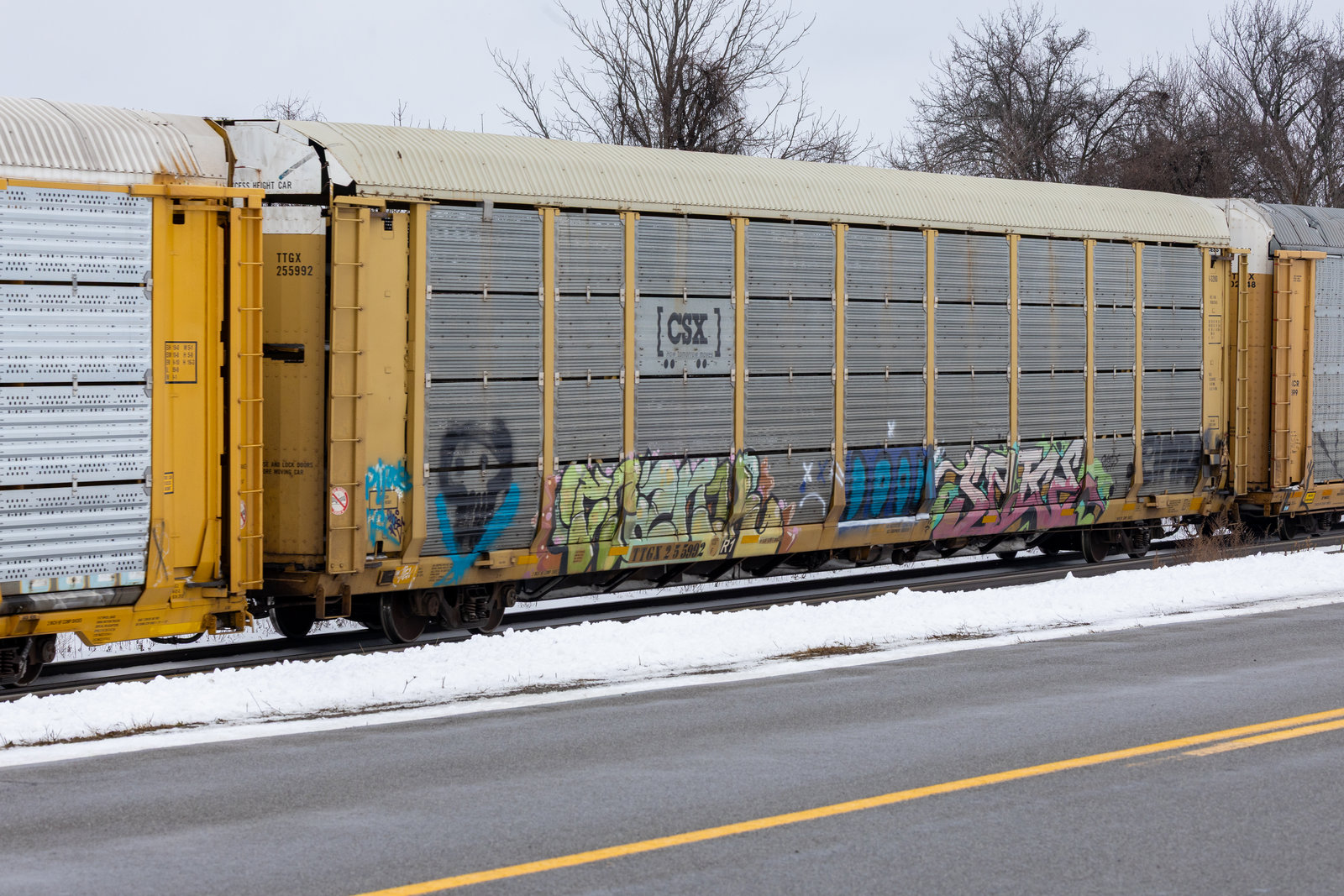 TTGX 255992