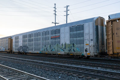 BNSF 301365