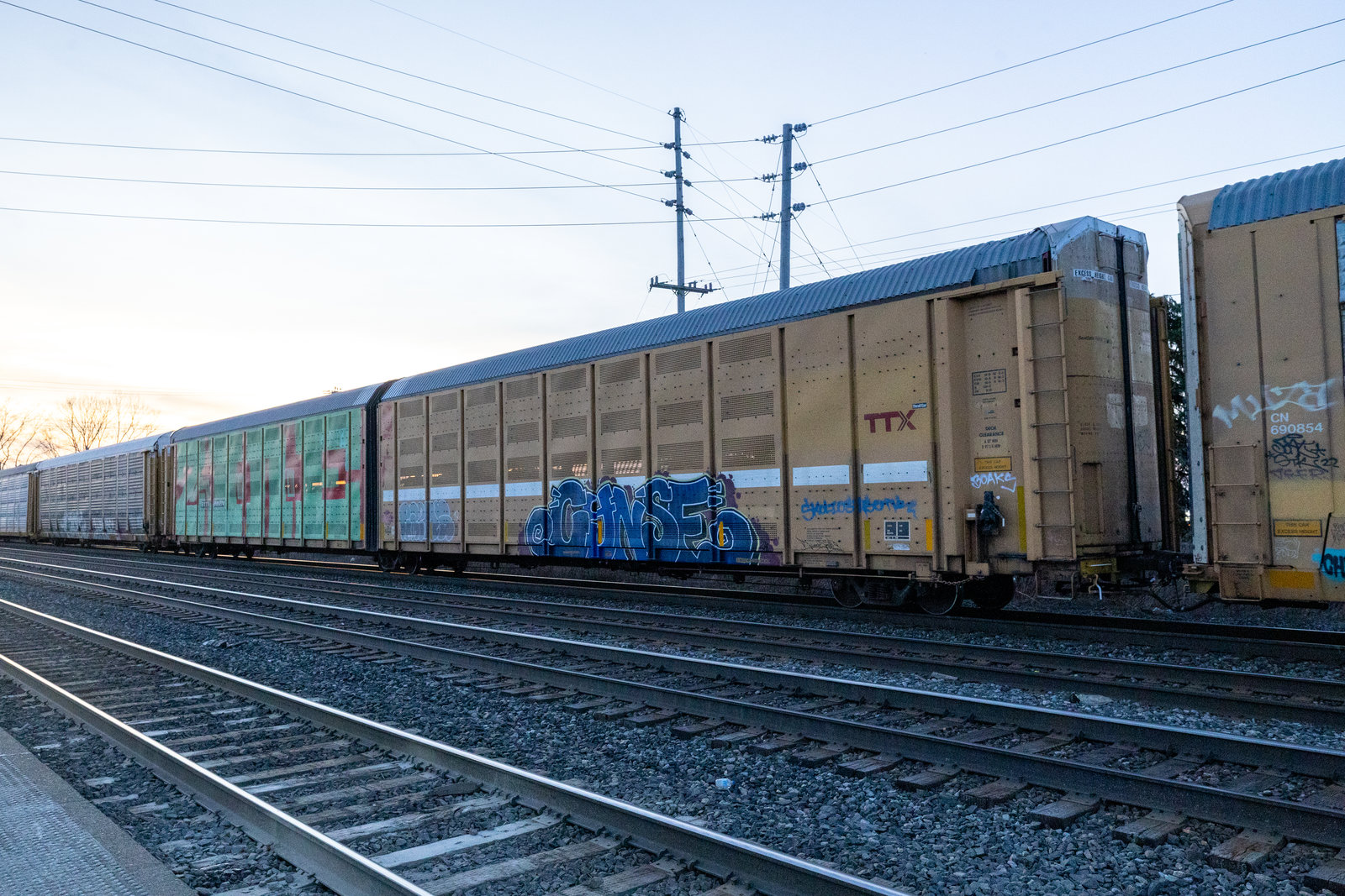 BTTX 880274