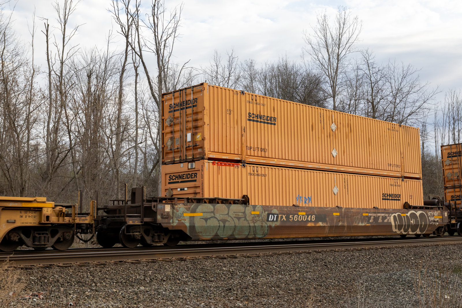 DTTX 560046