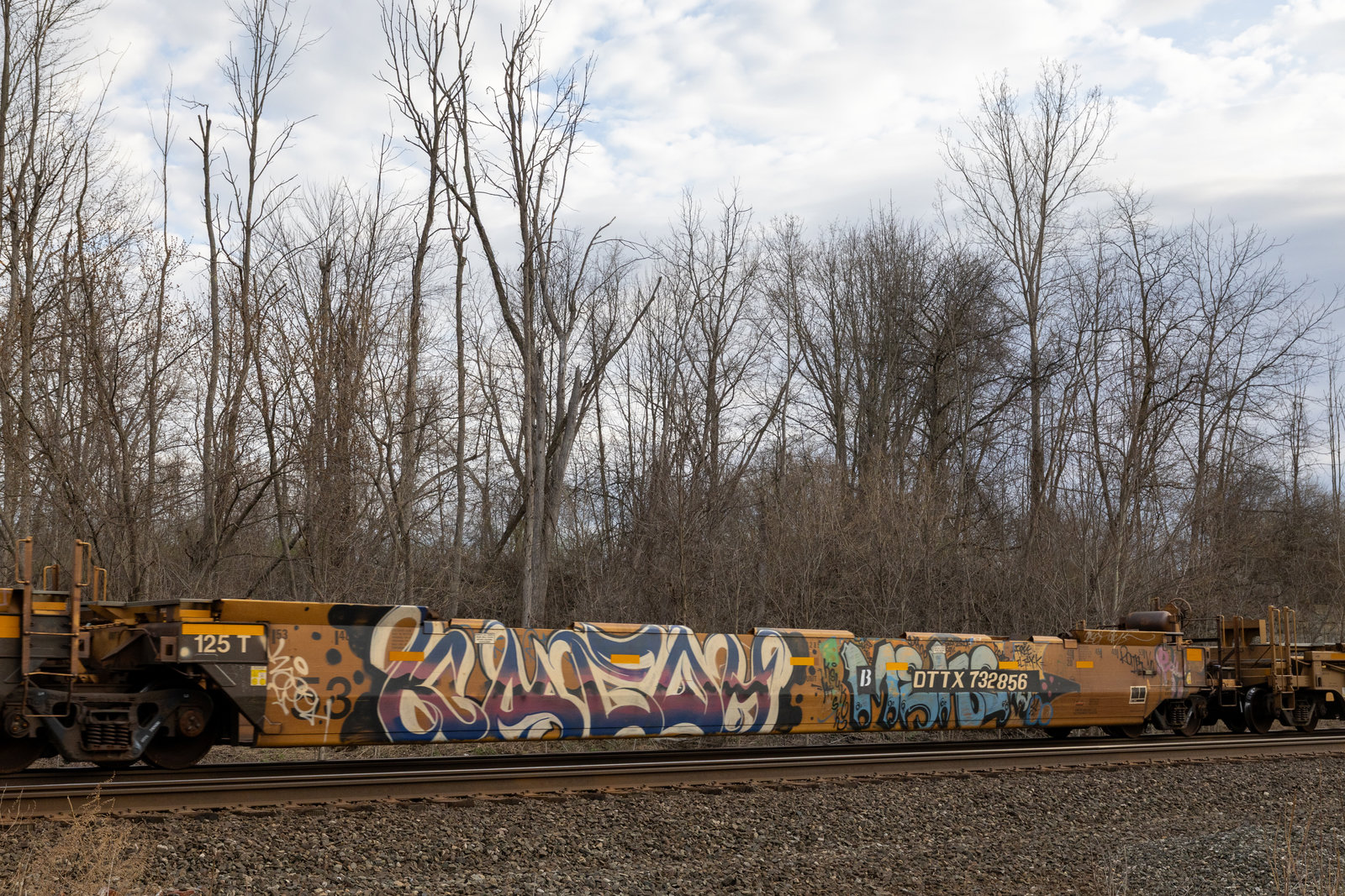 DTTX 732856B