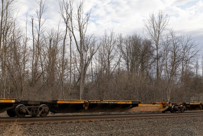 TTRX 970361C