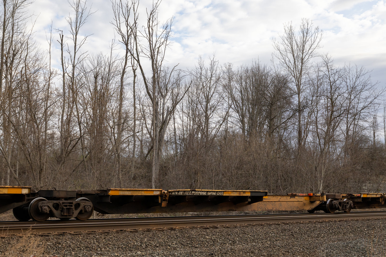 TTRX 970361C