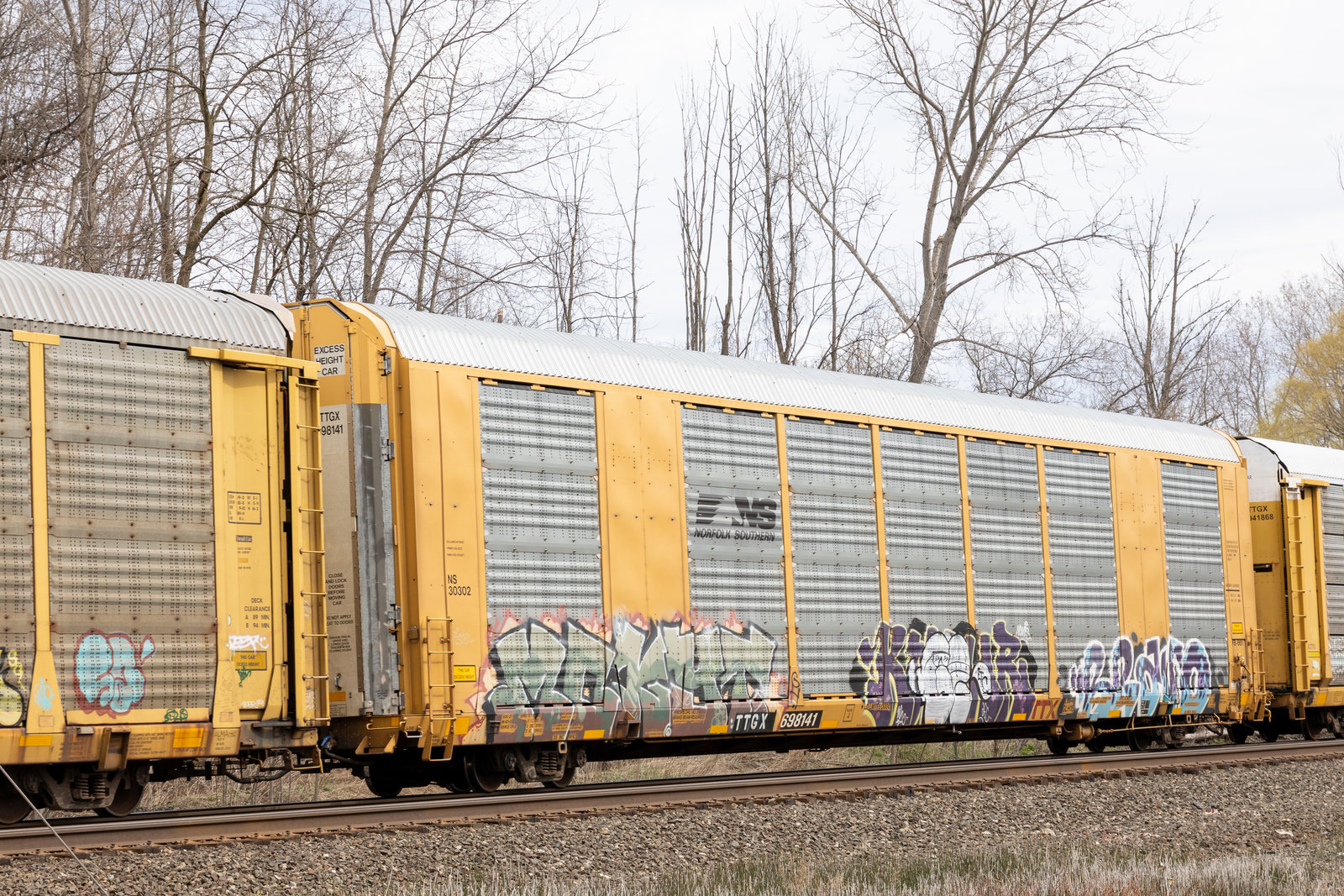 TTGX 698141