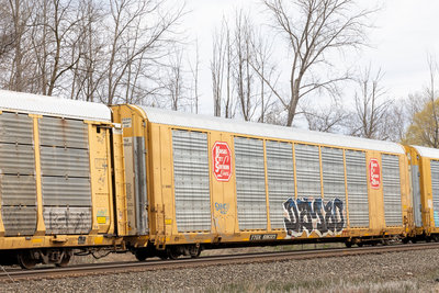 TTGX 696323