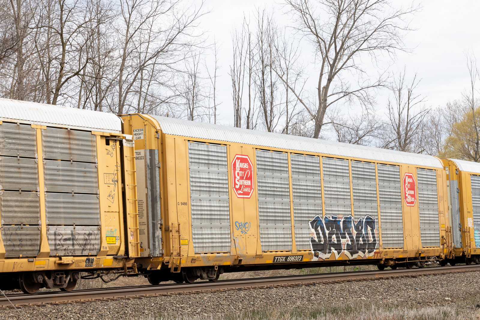 TTGX 696323