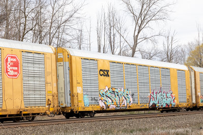 TTGX 699936