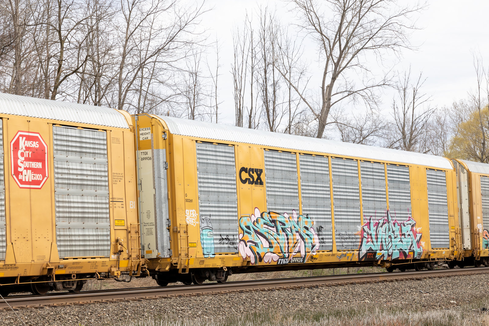 TTGX 699936