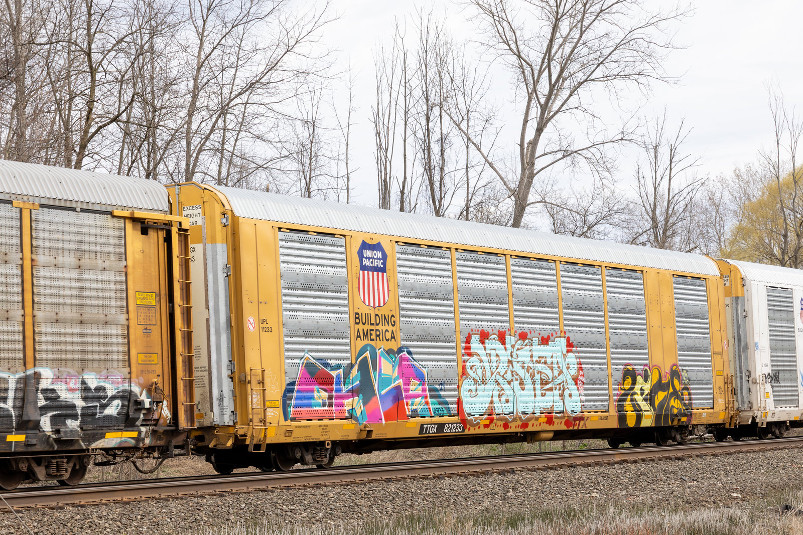TTGX 821233