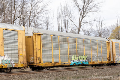 TTGX 702790