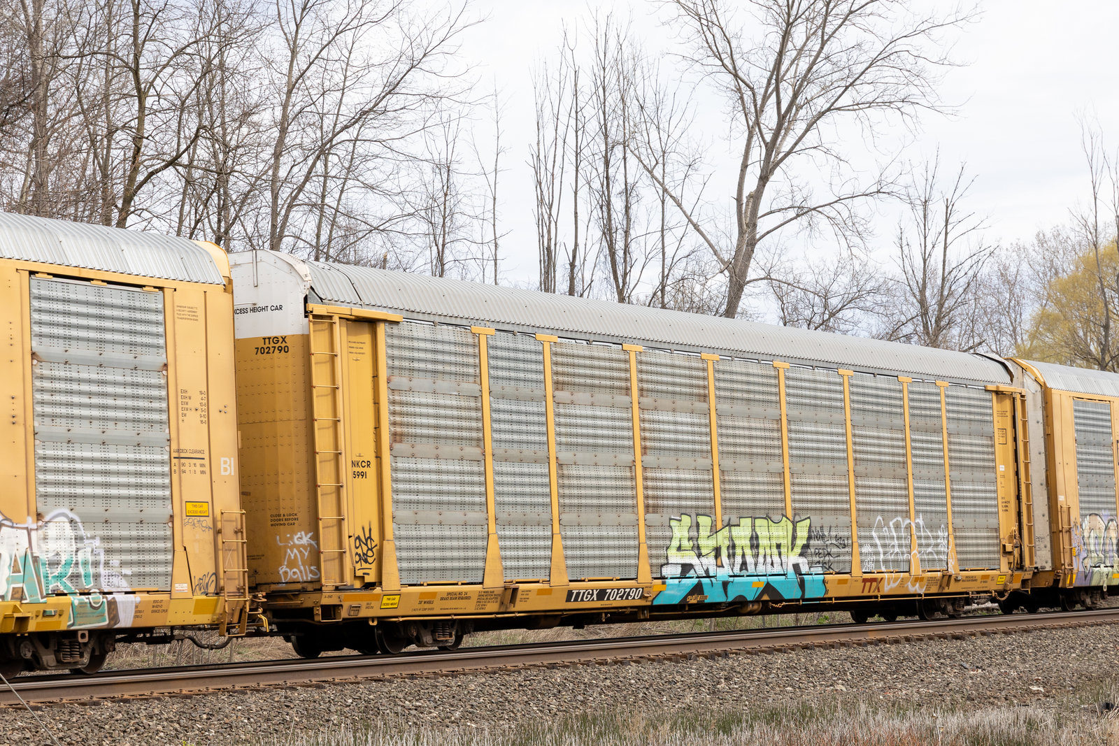 TTGX 702790