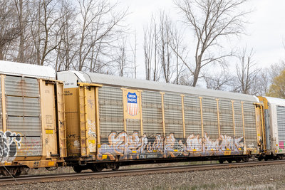 TTGX 986680