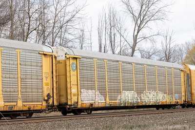 TTGX 987043