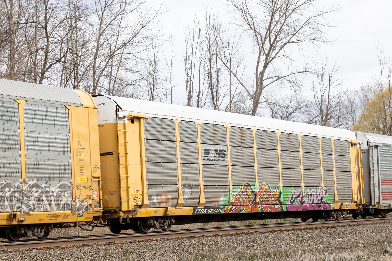 TTGX 982470