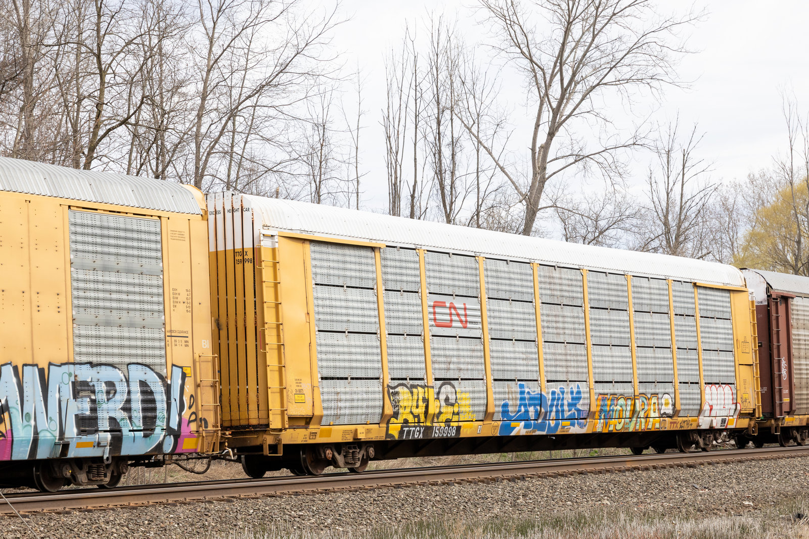 TTGX 159998