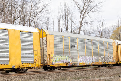 TTGX 716221
