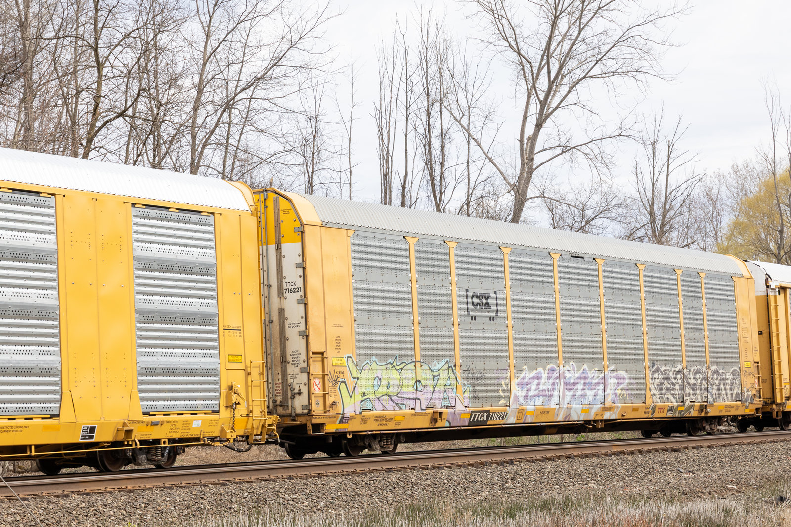 TTGX 716221