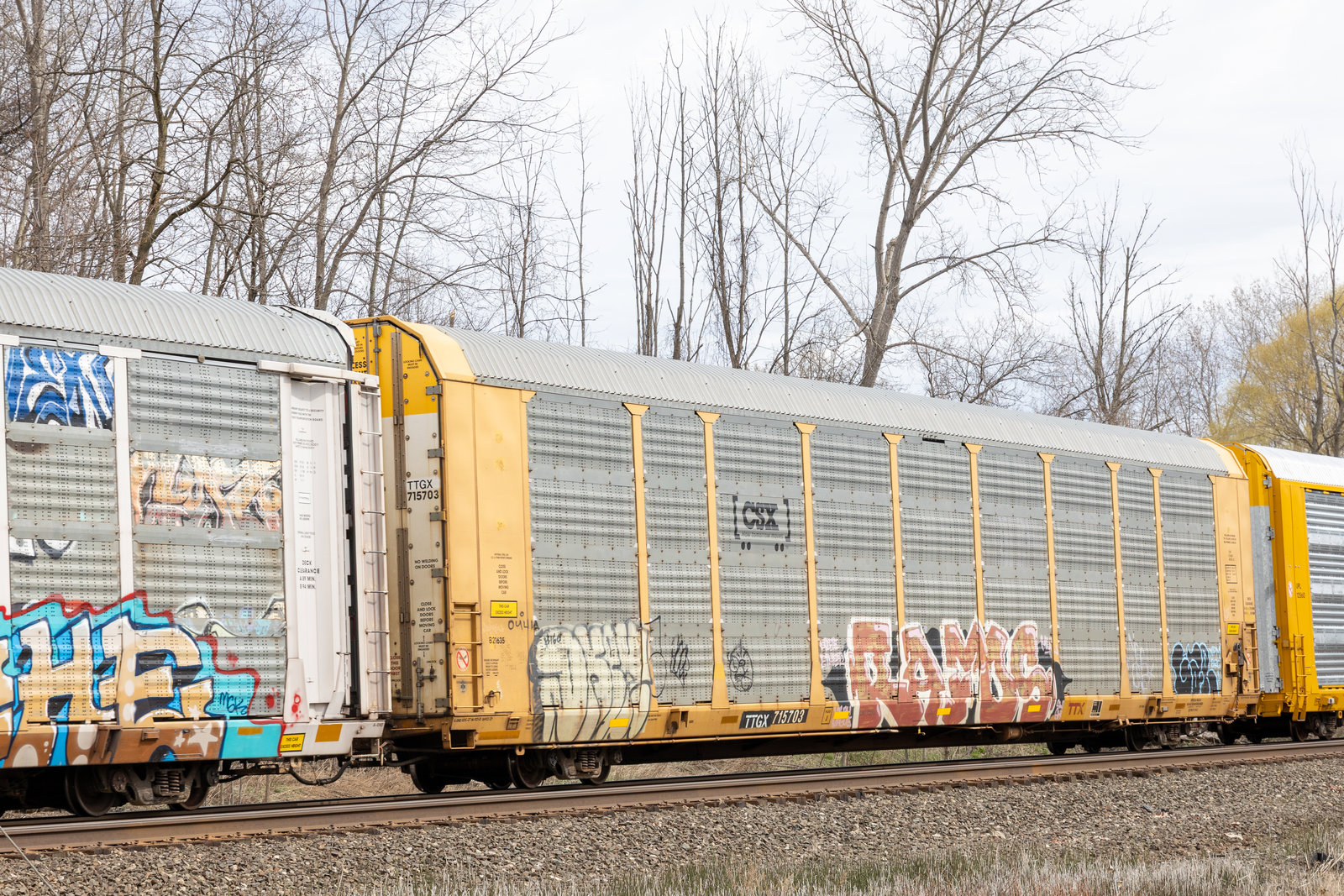 TTGX 715703