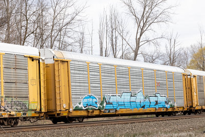 TTGX 708992