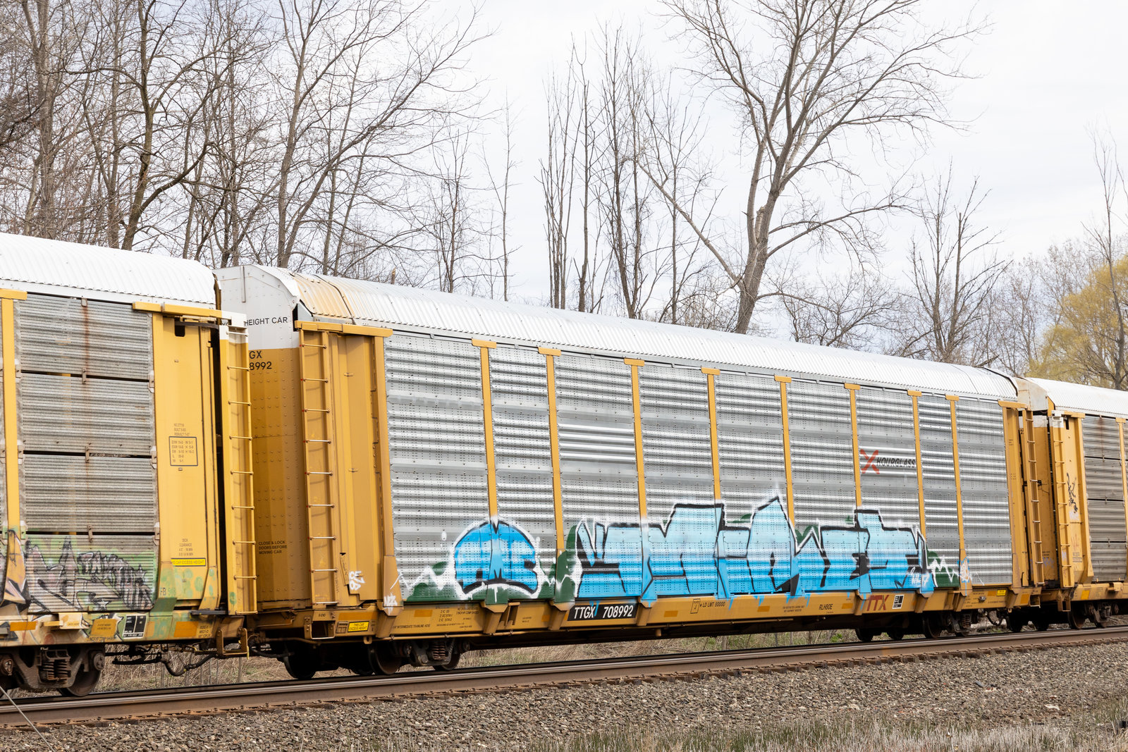TTGX 708992