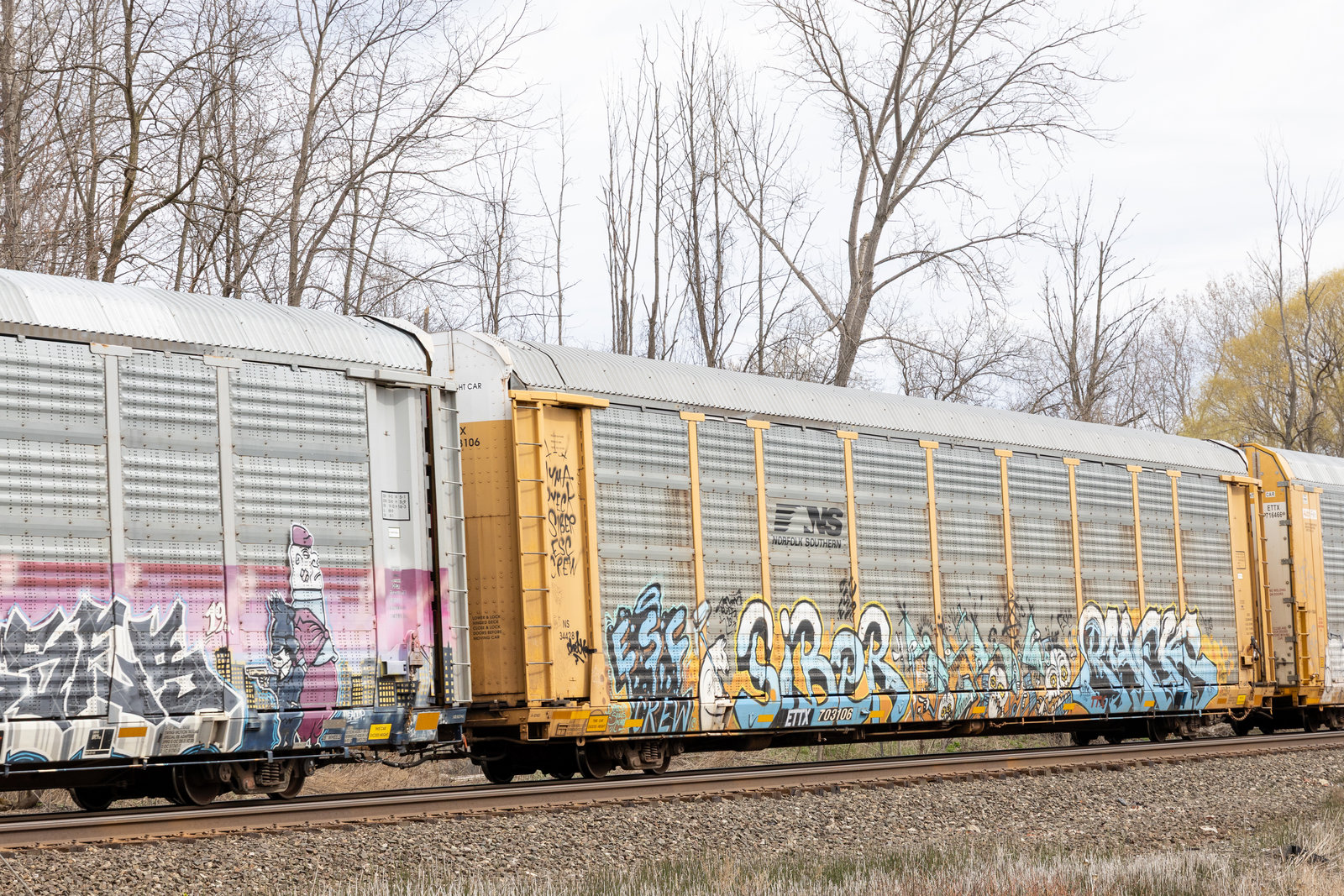 ETTX 703106