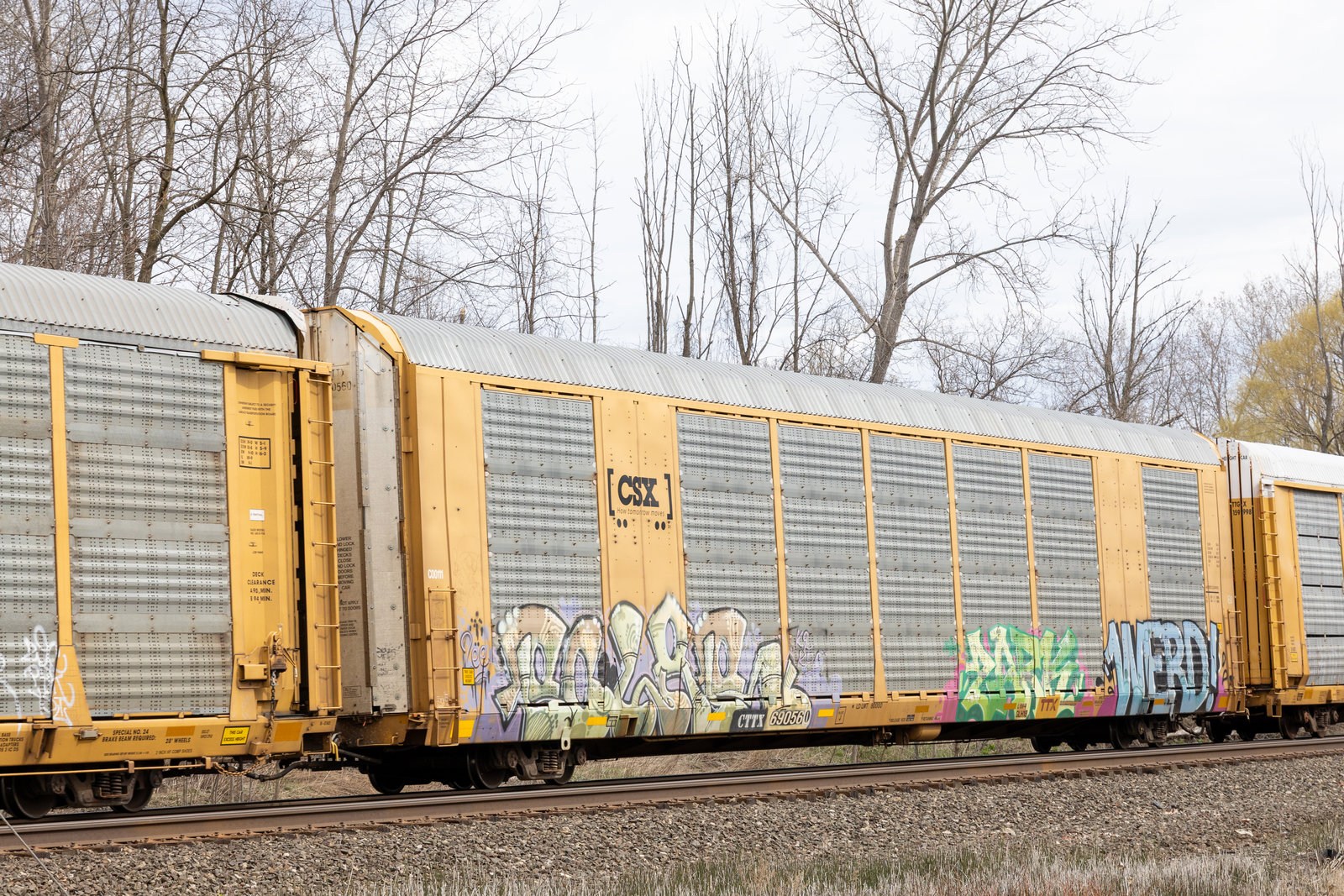 CTTX 690560