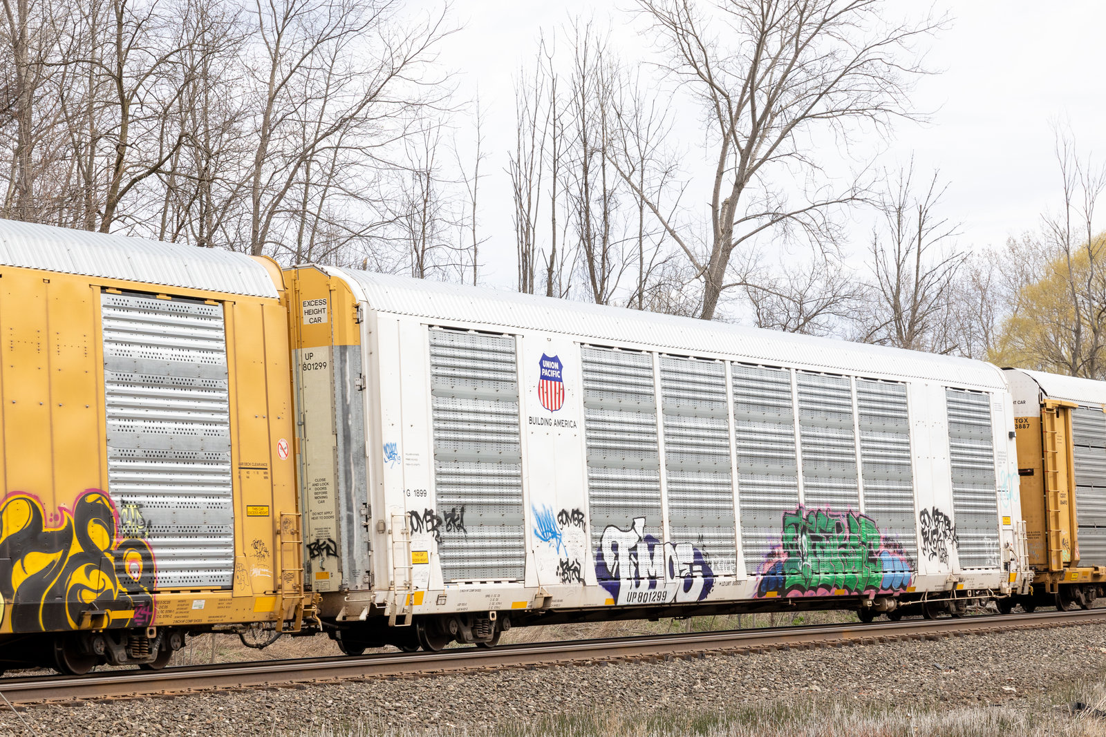 UP 801299