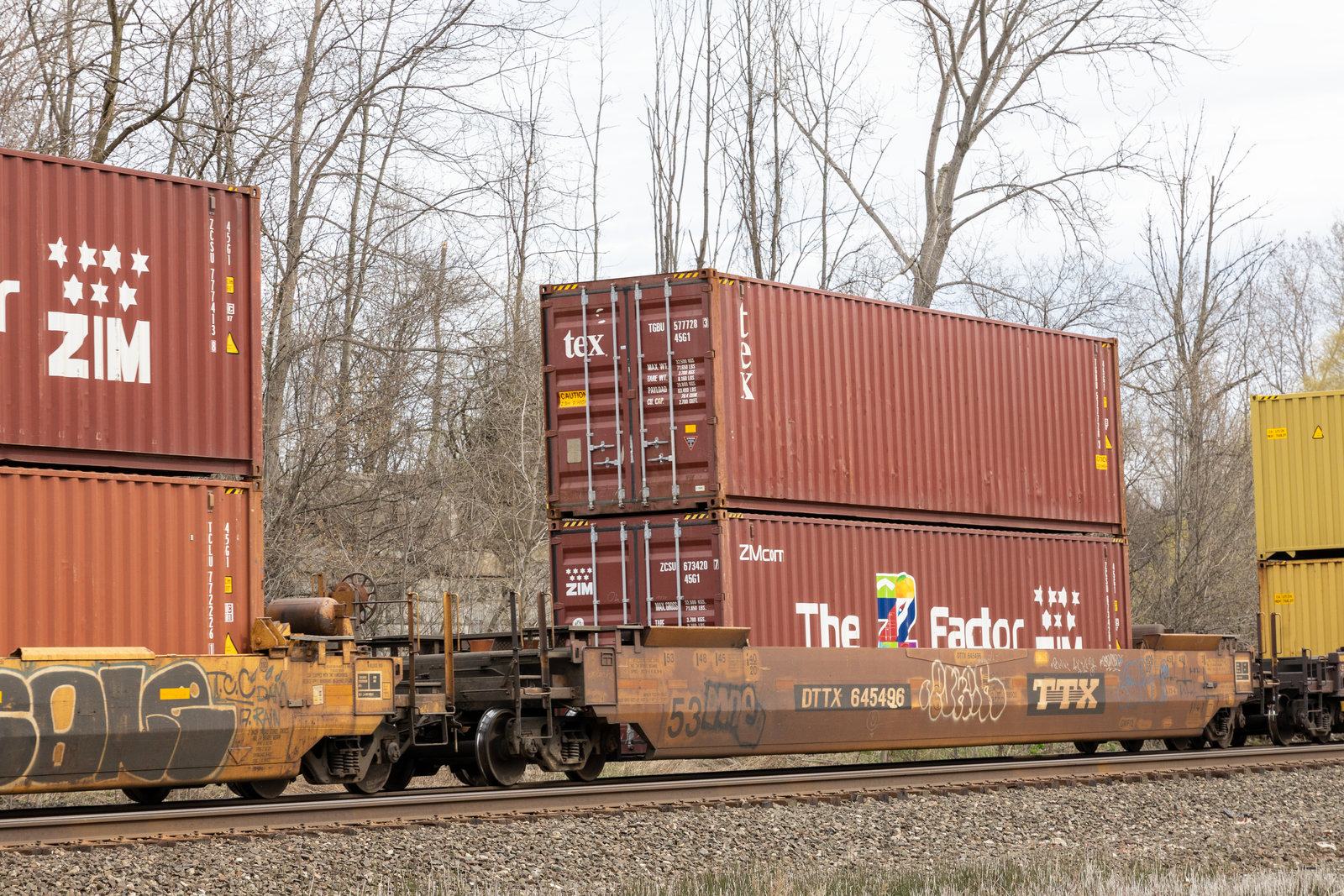 DTTX 645496