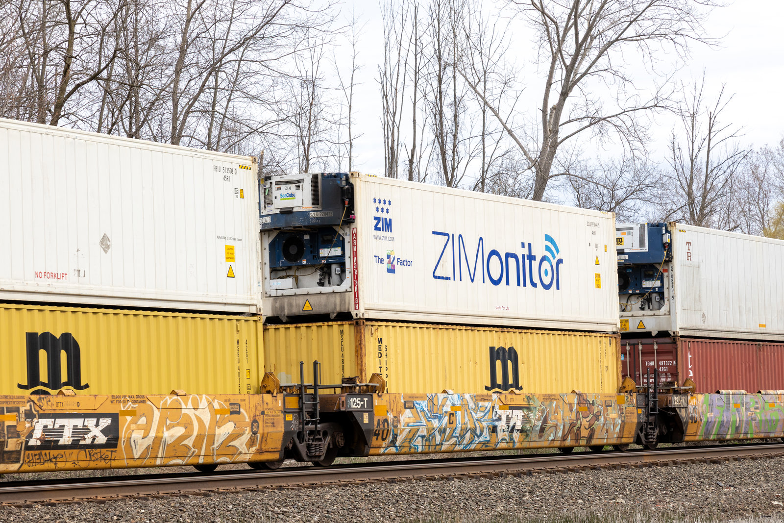 DTTX 744029C