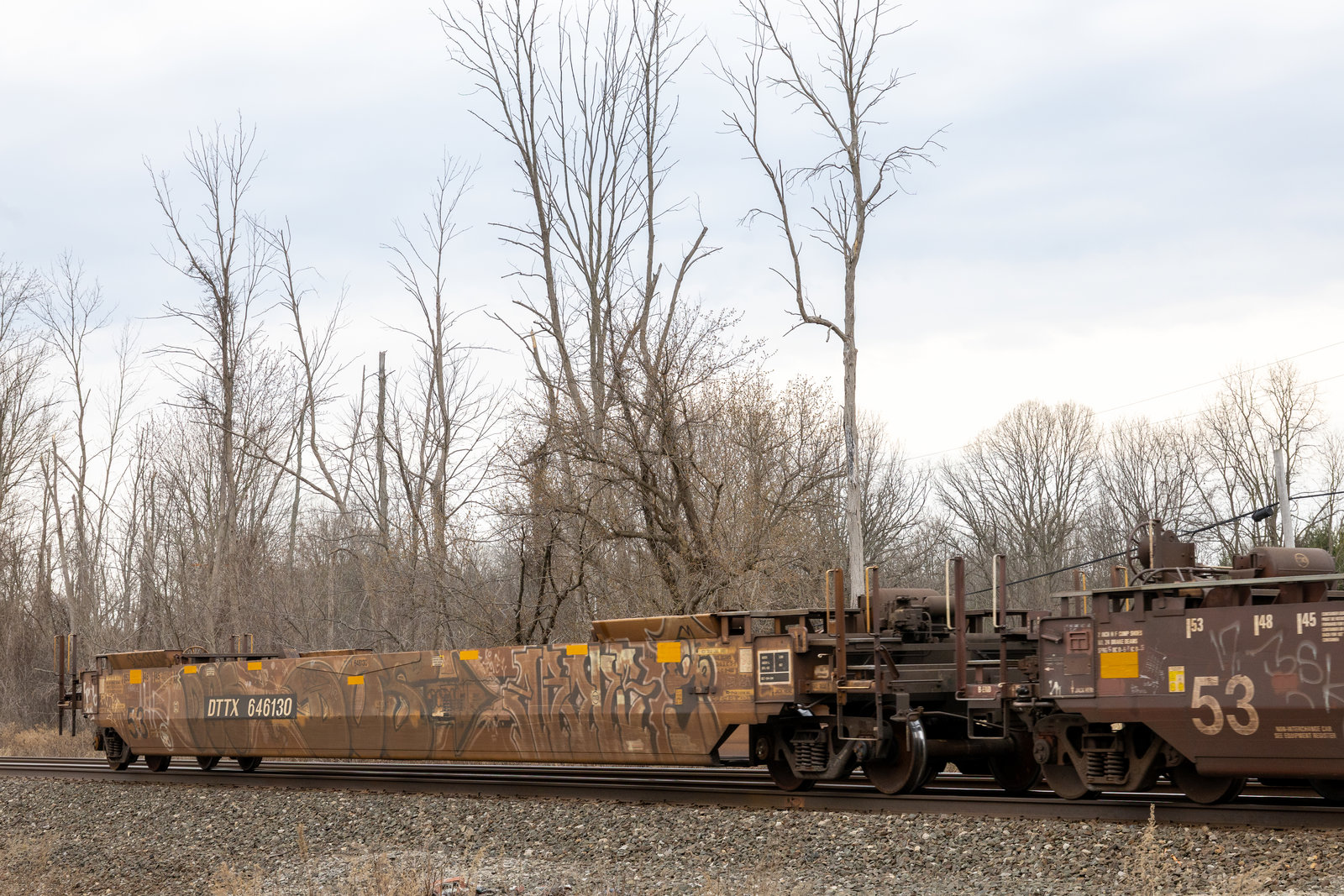 DTTX 646130