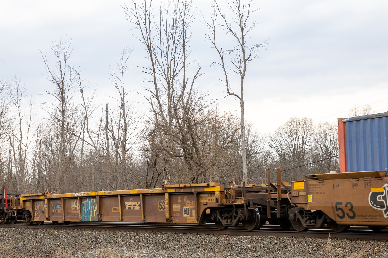 DTTX 681133