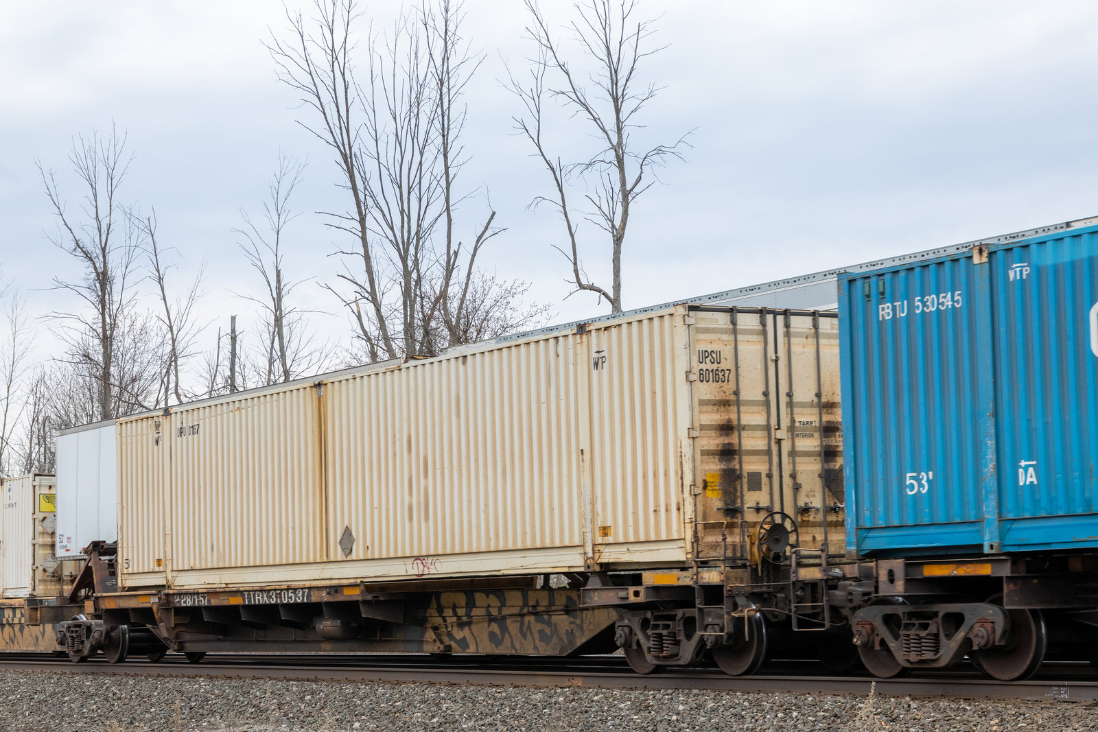 TTRX 370537B