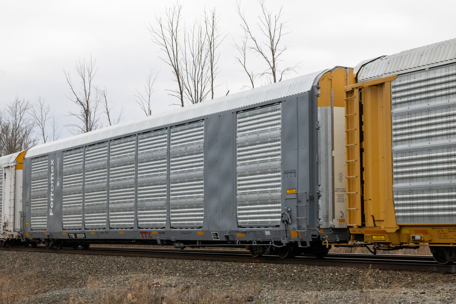 TTGX 825259