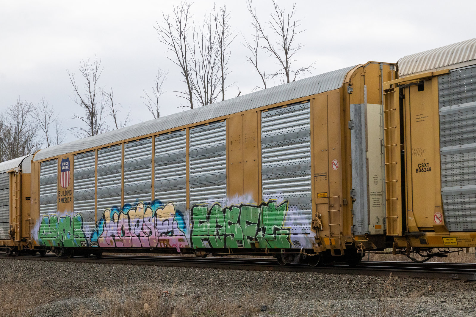 TTGX 821261