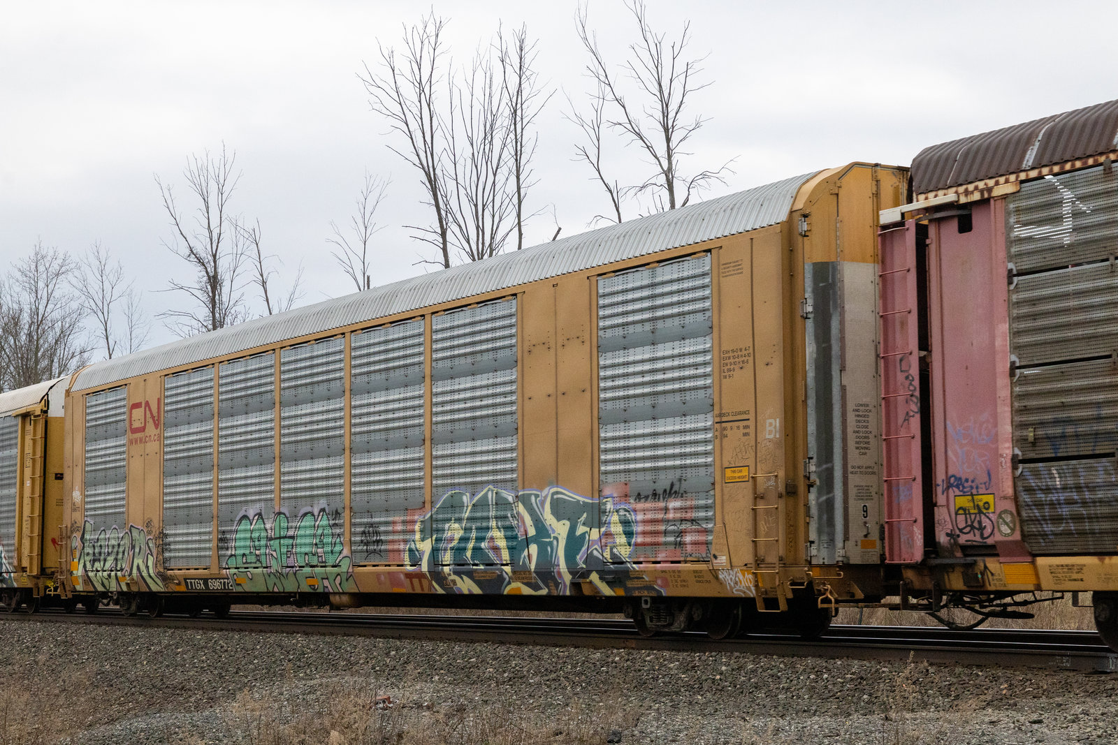 TTGX 696772