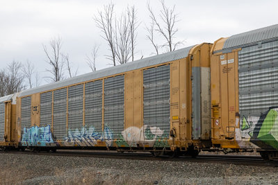 TTGX 695502
