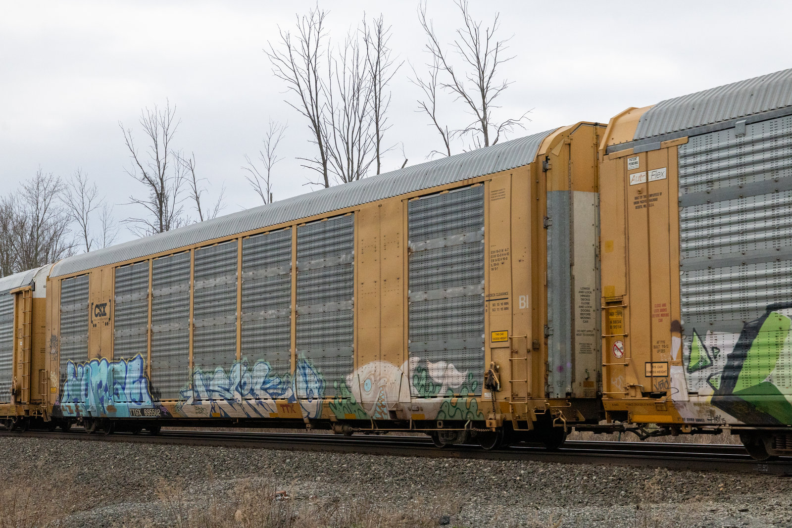 TTGX 695502