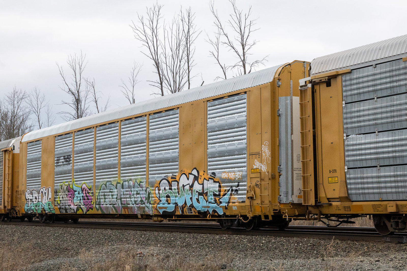 TTGX 823749