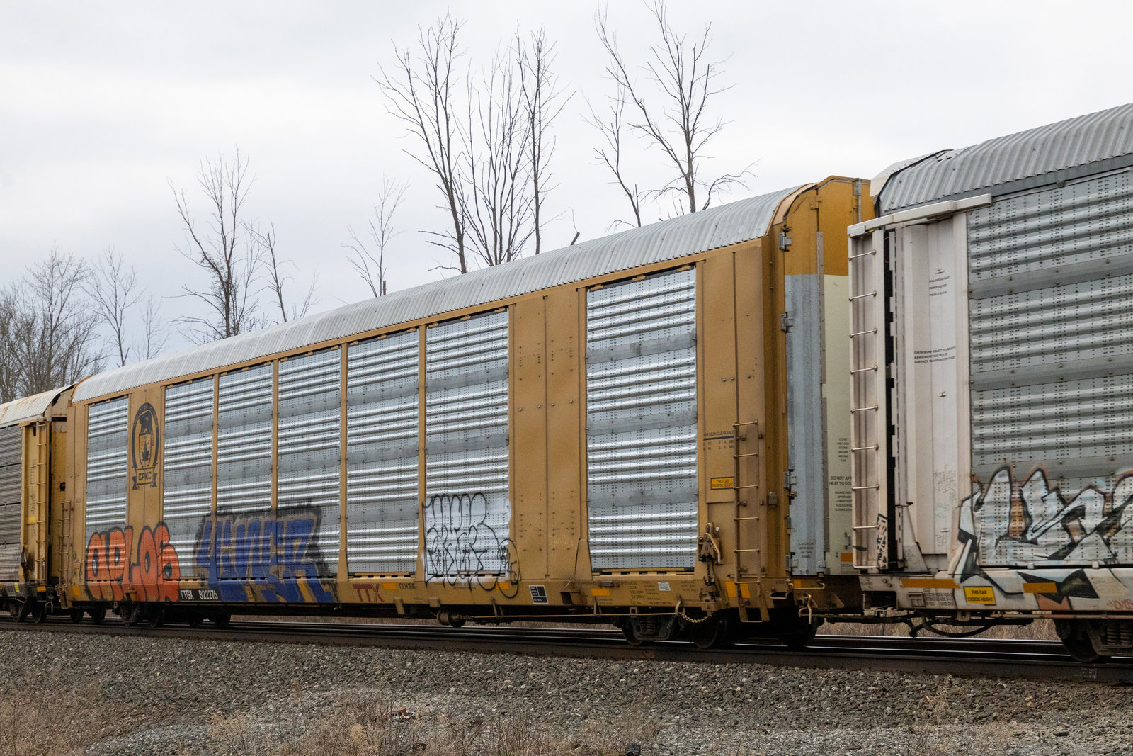 TTGX 822276
