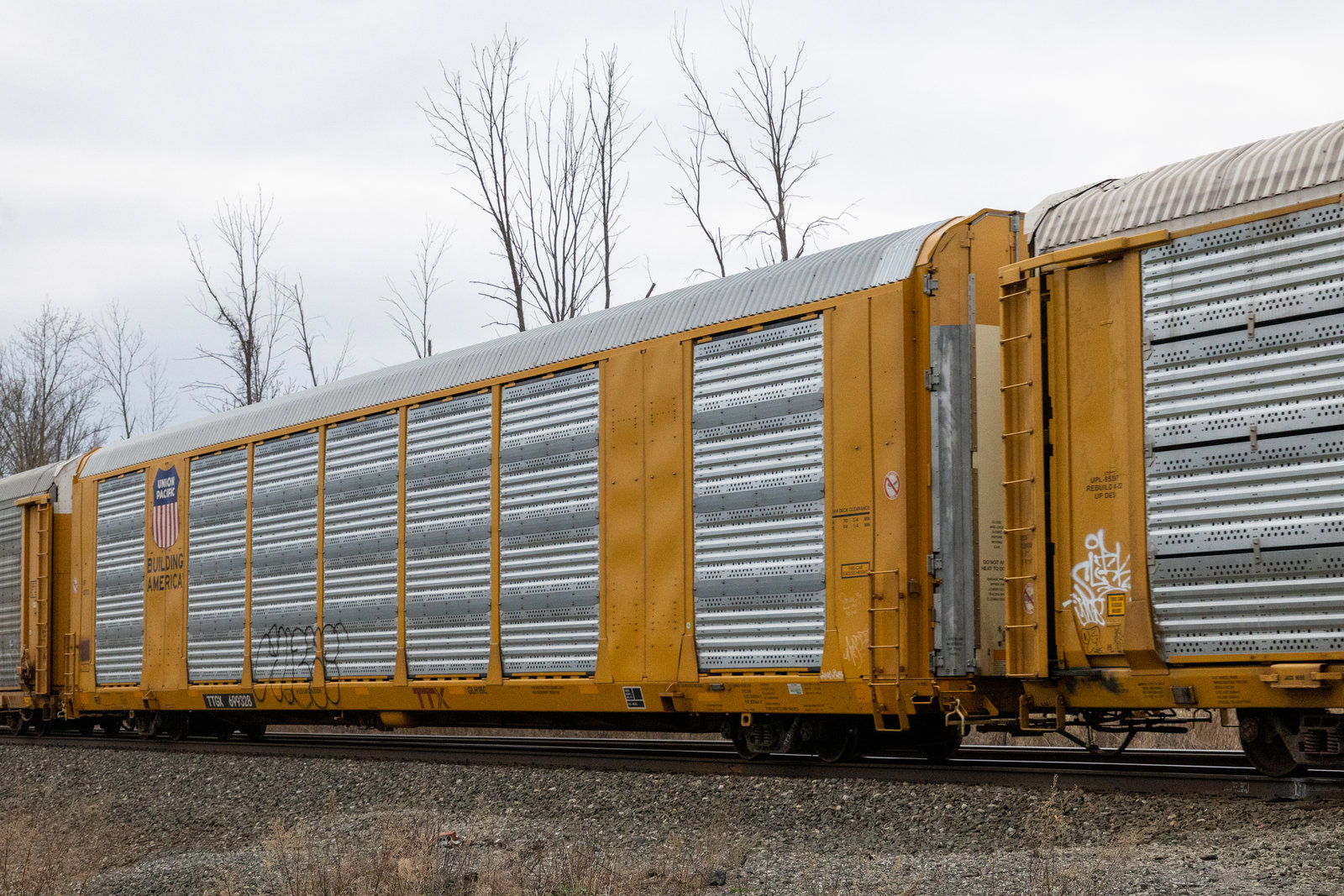 TTGX 699328