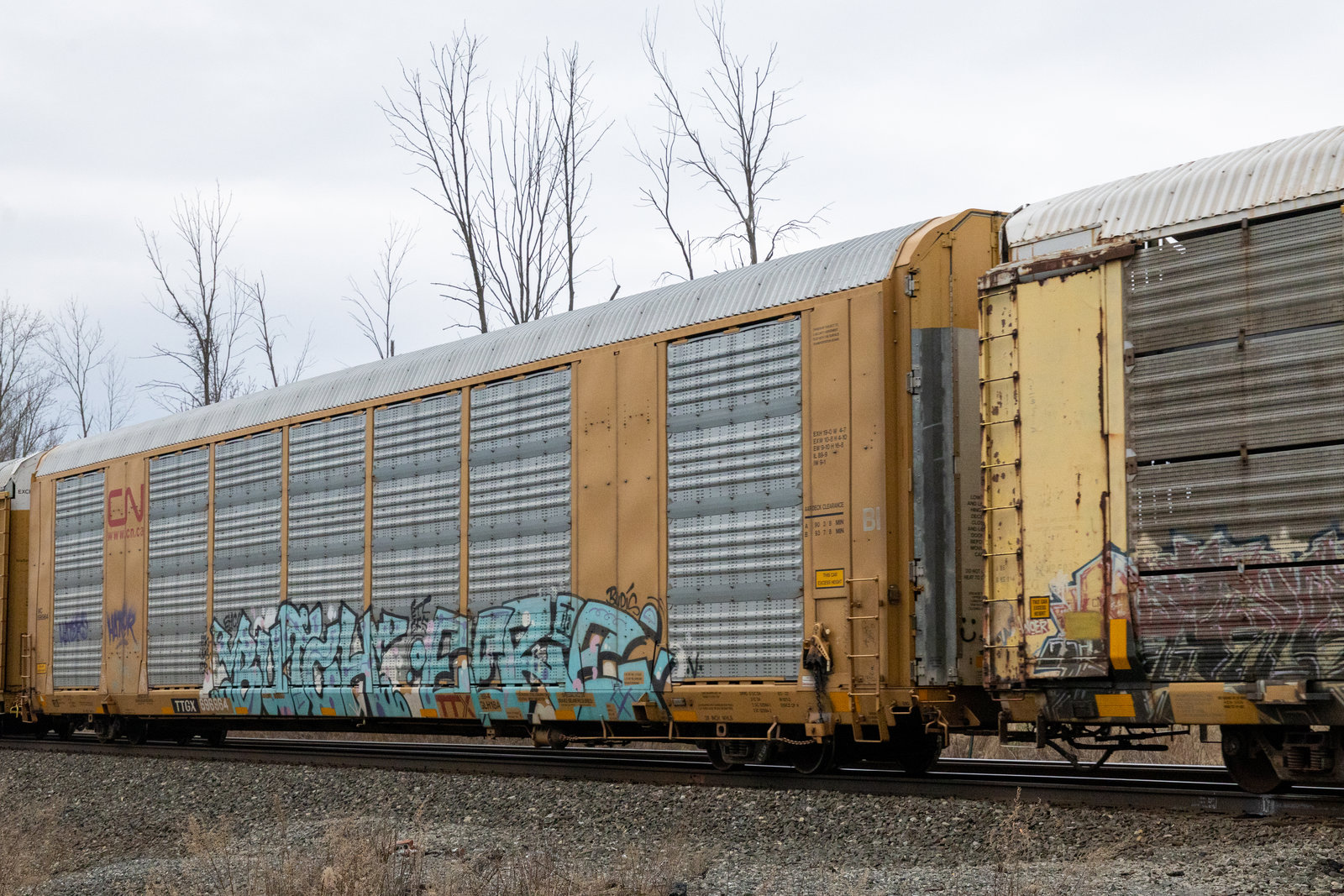 TTGX 696964