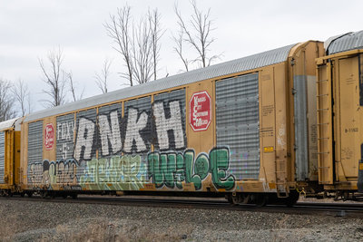 TTGX 695308
