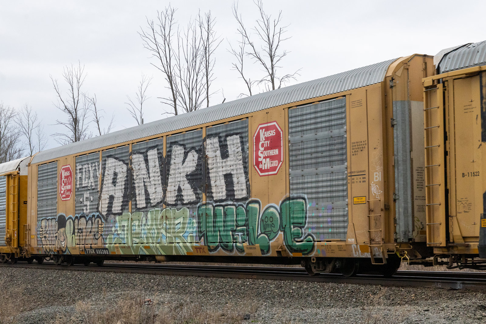 TTGX 695308