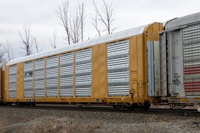 TTGX 823906