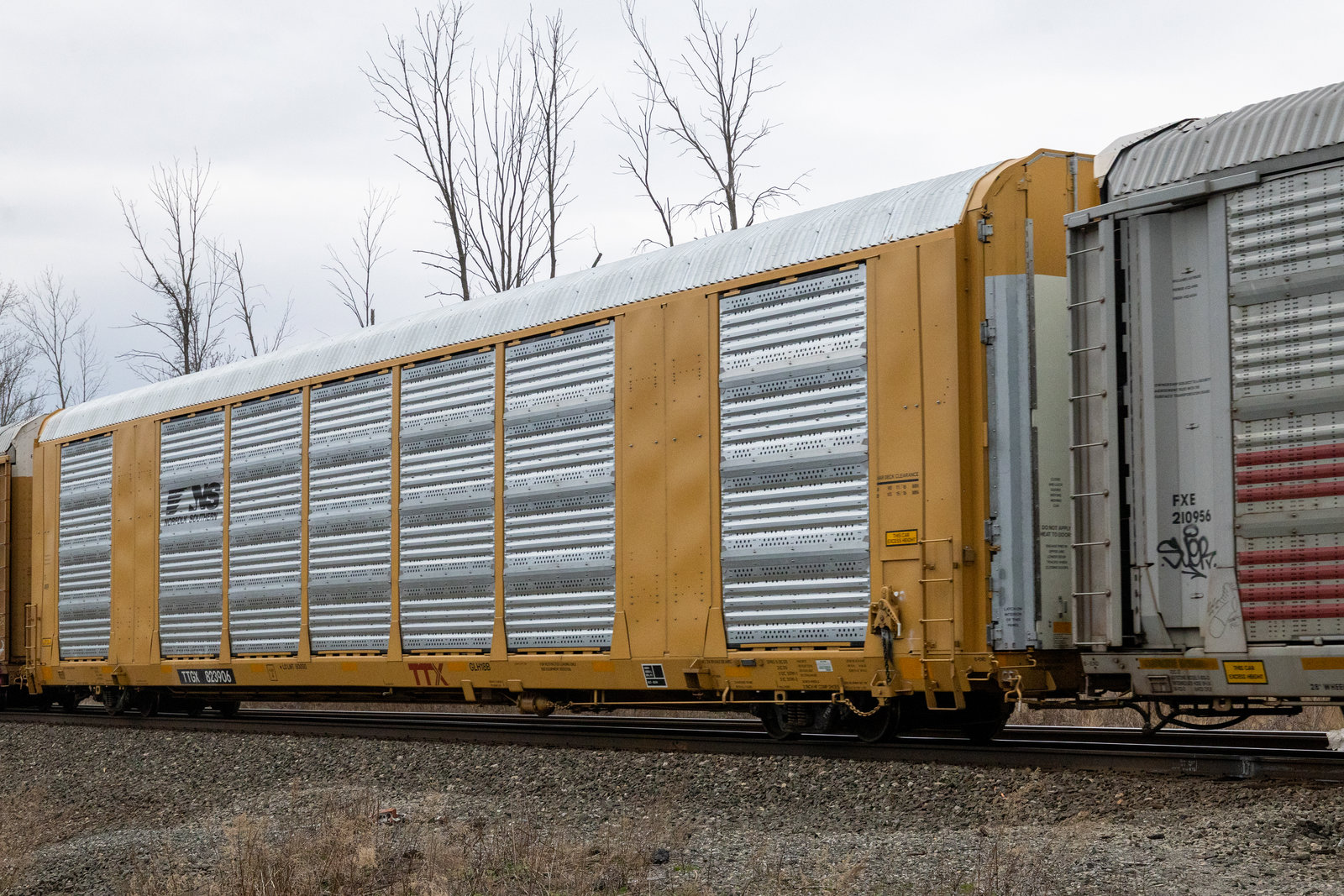 TTGX 823906