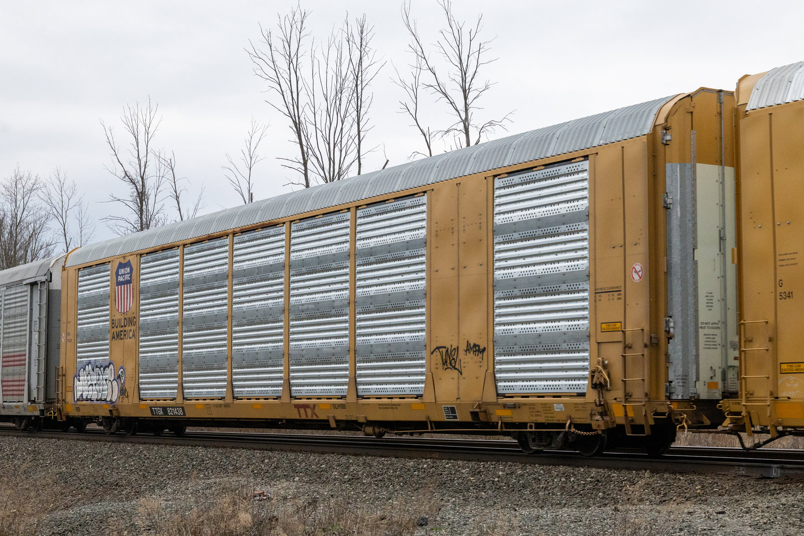 TTGX 821438